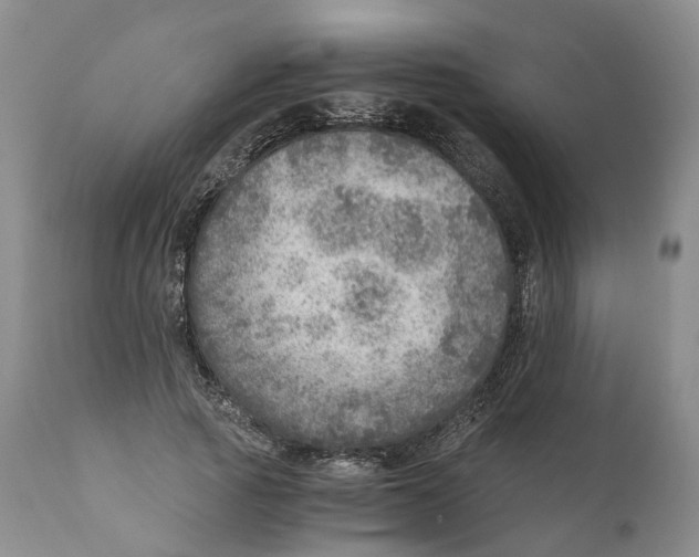 X0000110890737200907161525