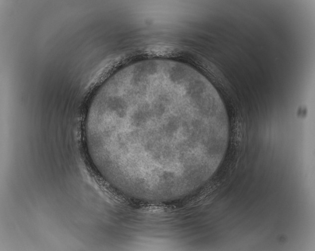 X0000110890738200907161525