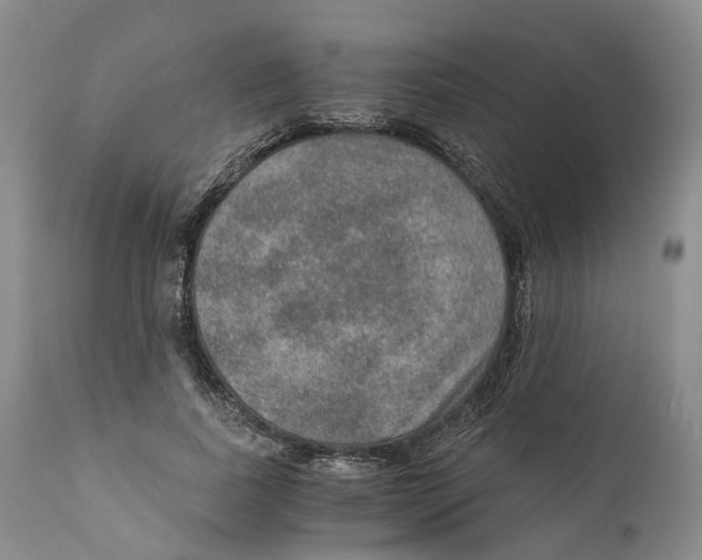 X0000110890739200907161525