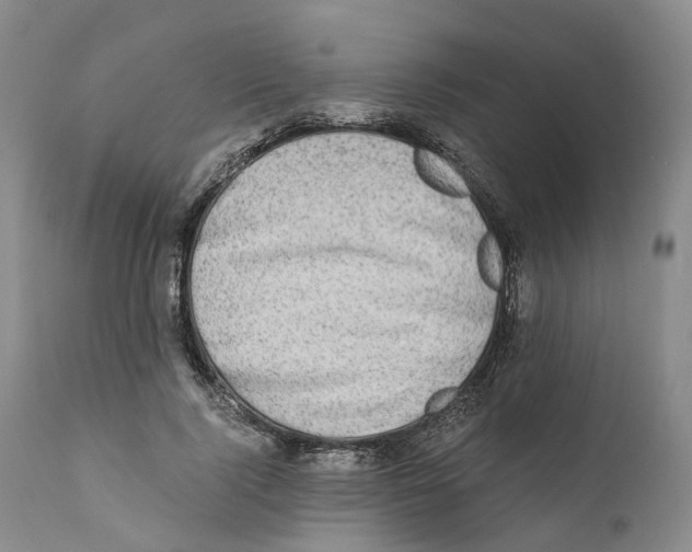 X0000110890740200907161525