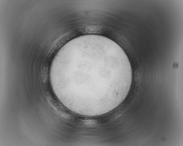 X0000110890741200907161525