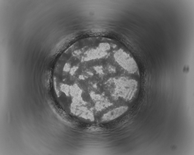X0000110890742200907161525