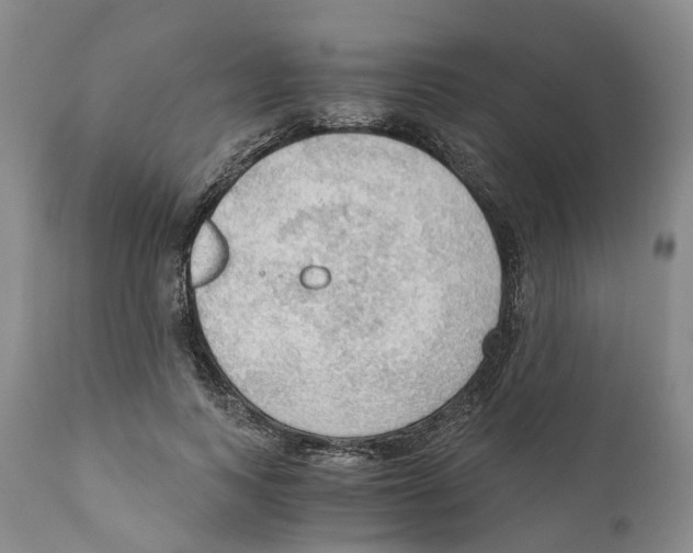 X0000110890743200907161525