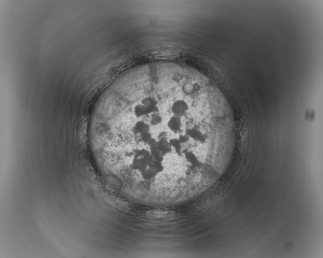 X0000110890745200907161525