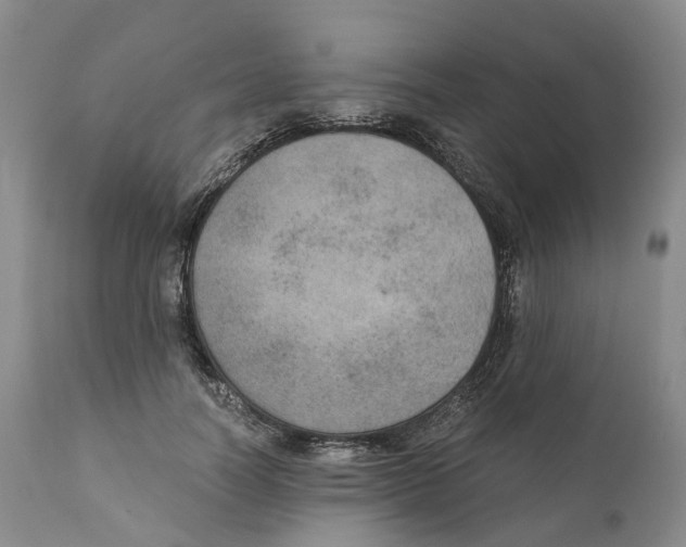 X0000110890746200907161525