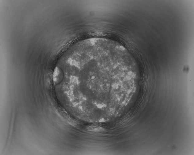 X0000110890747200907161525