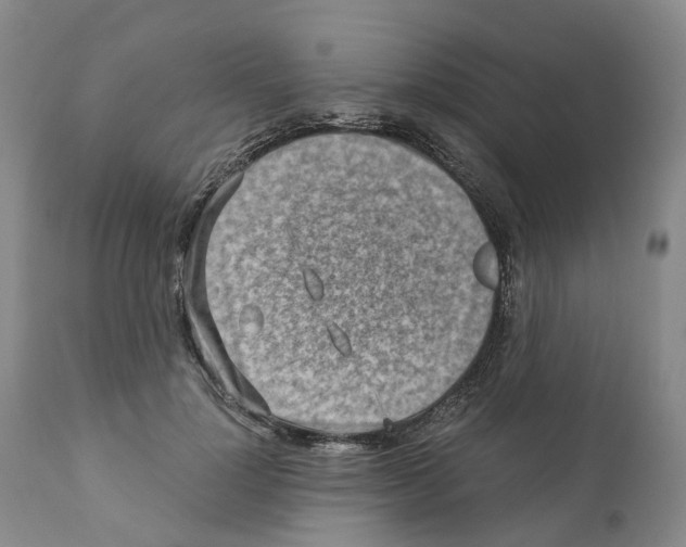 X0000110890748200907161525