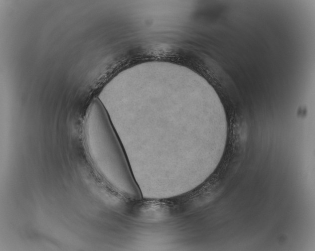 X0000110890750200907161525