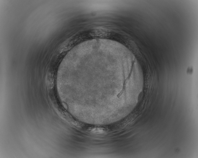 X0000110890751200907161525