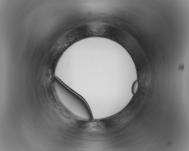 X0000110890752200907161525