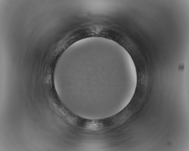 X0000110890754200907161525