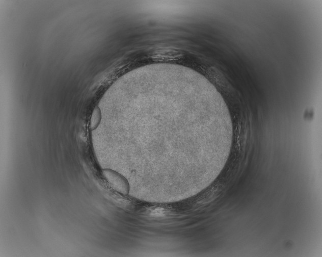 X0000110890755200907161526