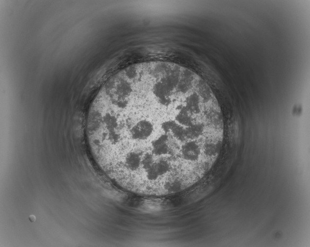 X0000110890757200907161526