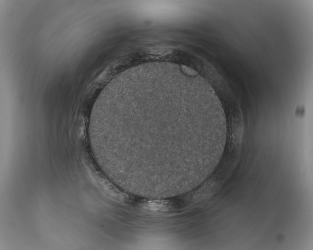 X0000110890758200907161526