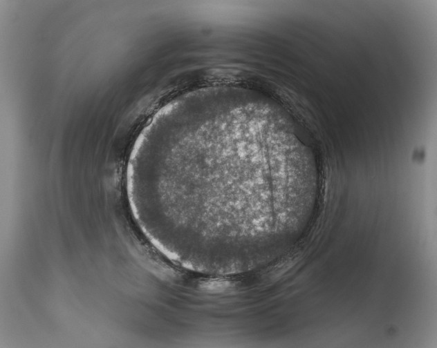 X0000110890759200907161526