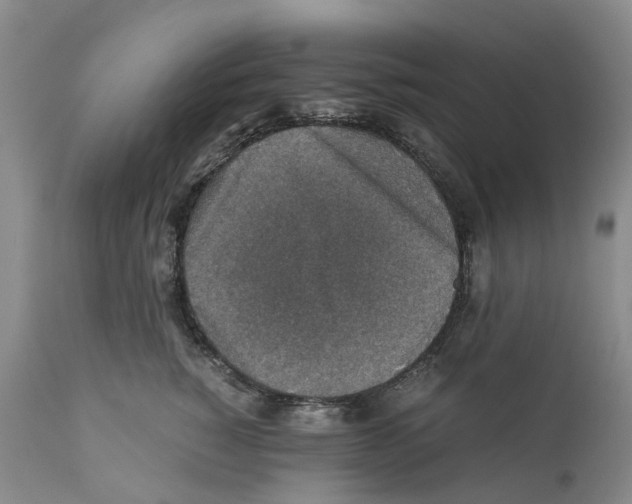X0000110890760200907161526