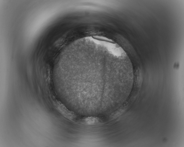 X0000110890762200907161526