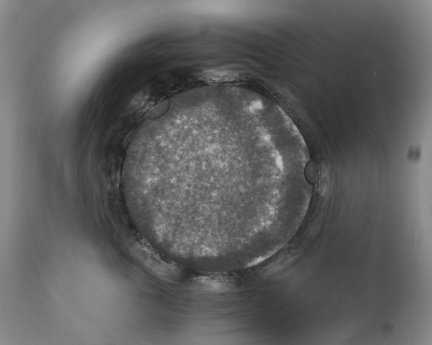 X0000110890763200907161526