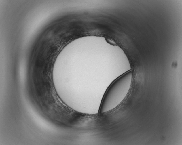 X0000110890764200907161526