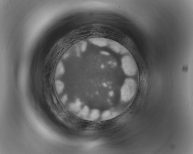 X0000110890765200907161526