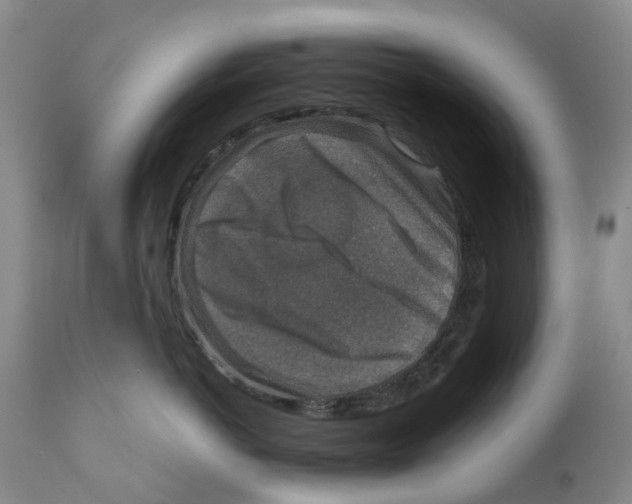 X0000110890766200907161526