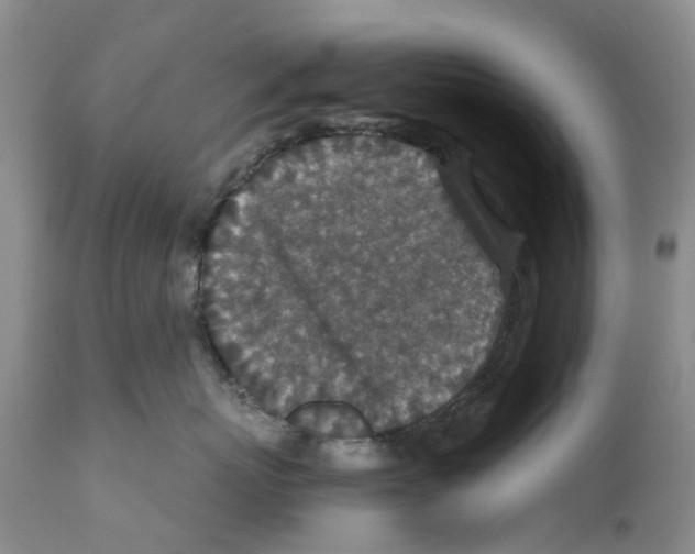 X0000110890767200907161526