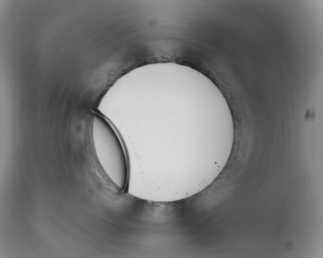 X0000110890768200907161526