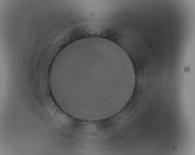 X0000110890769200907161525