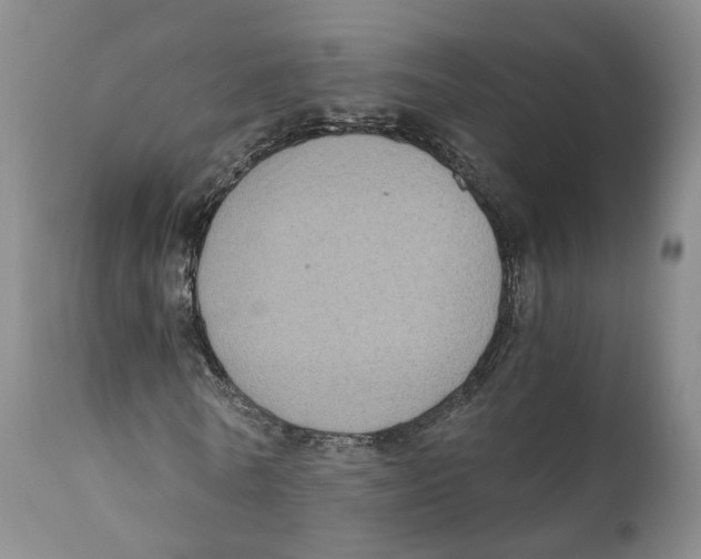 X0000110890770200907161525