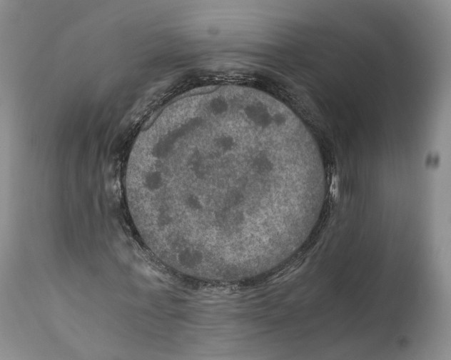 X0000110890771200907161525