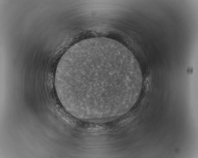 X0000110890772200907161525