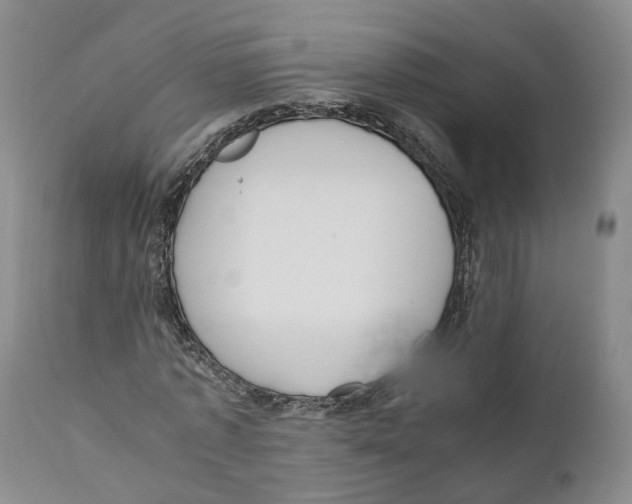 X0000110890773200907161525