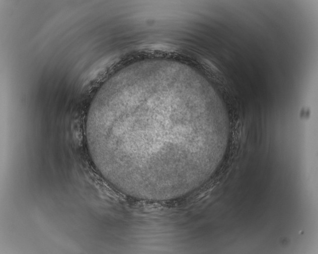 X0000110890774200907161525