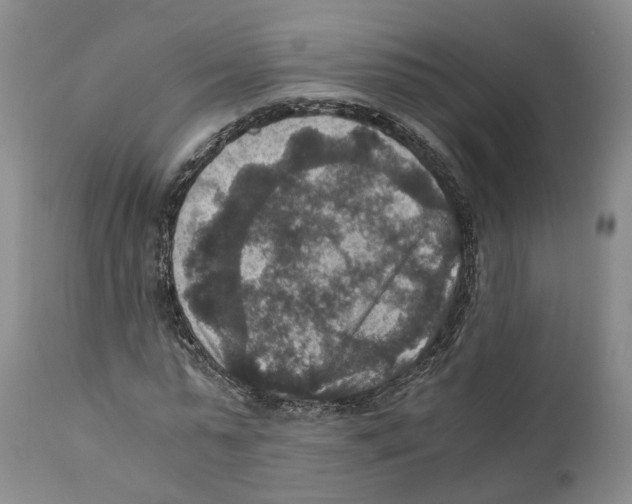 X0000110890775200907161525