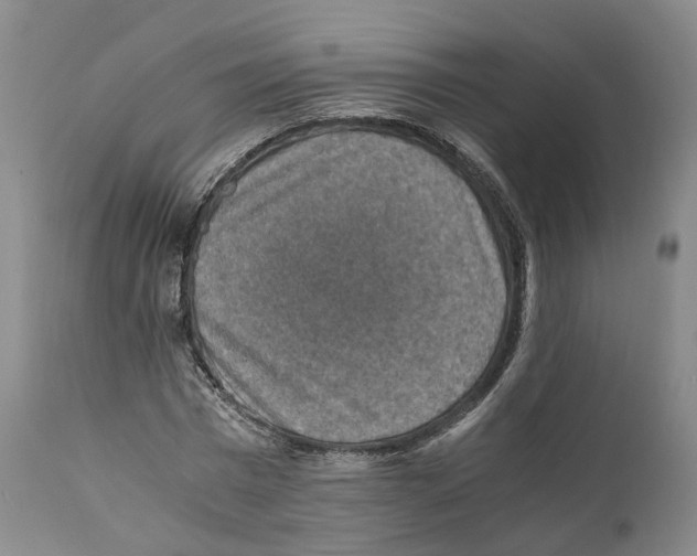 X0000110890777200907161525