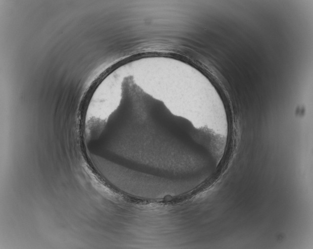 X0000110890779200907161525