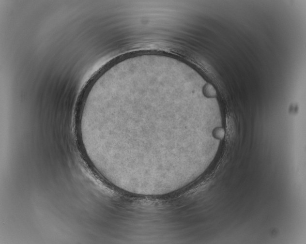 X0000110890780200907161525