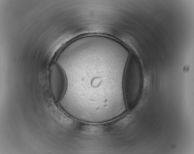 X0000110890781200907161525