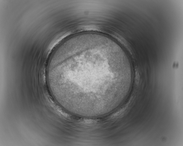 X0000110890782200907161525