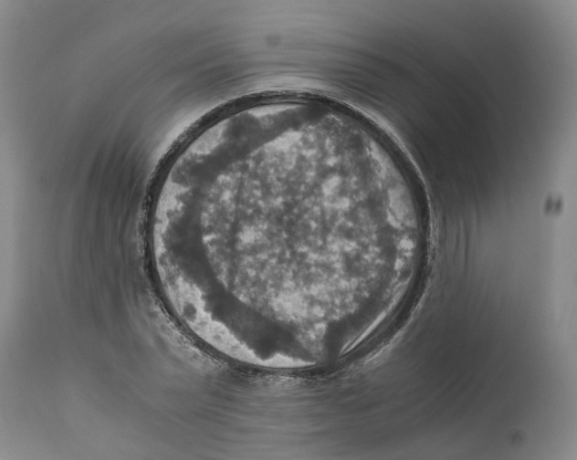 X0000110890783200907161525