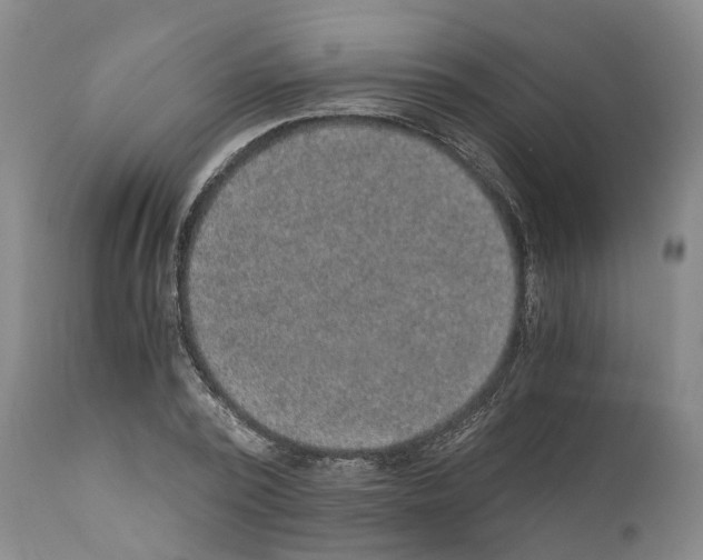 X0000110890784200907161525