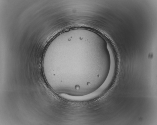 X0000110890785200907161525