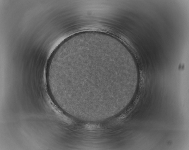 X0000110890788200907161525