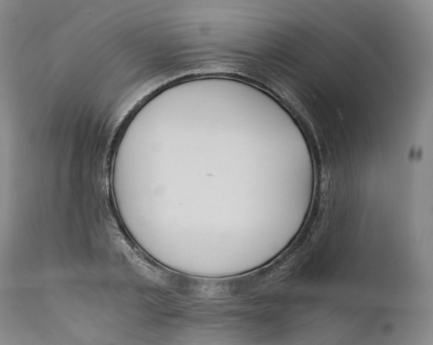 X0000110890789200907161525