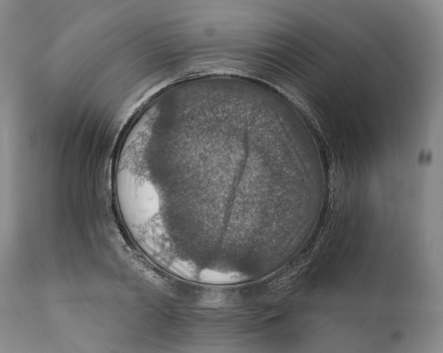 X0000110890790200907161525