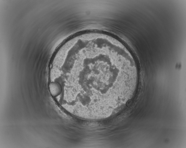 X0000110890791200907161525