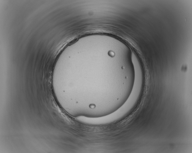 X0000110890793200907161525