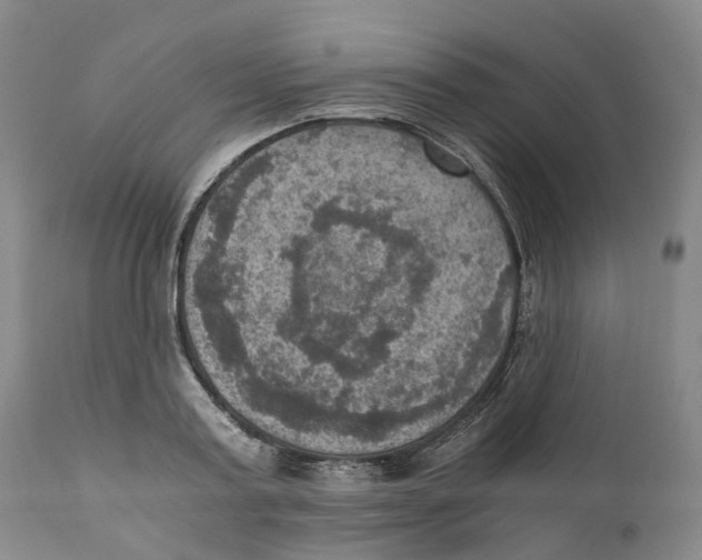 X0000110890795200907161525