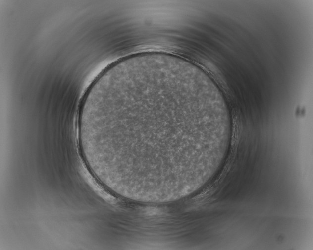 X0000110890796200907161525