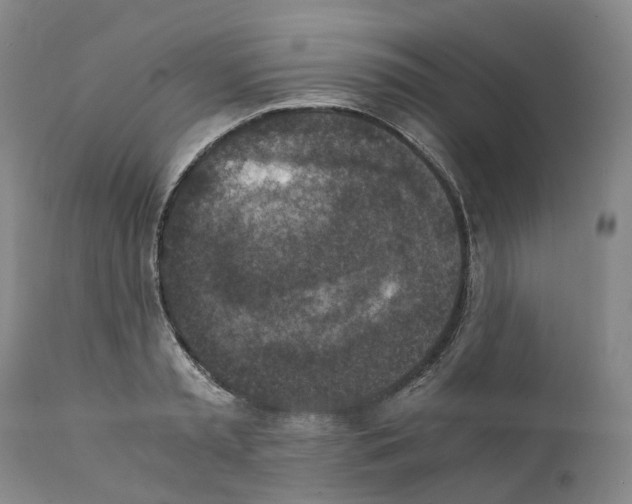 X0000110890797200907161525